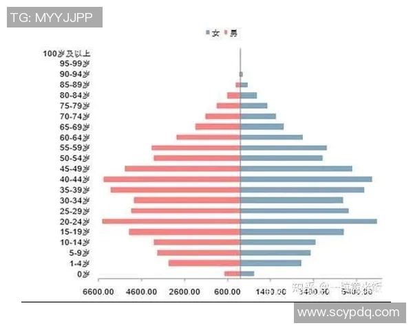 多米尼加共和国足球球星的崛起与未来发展潜力解析