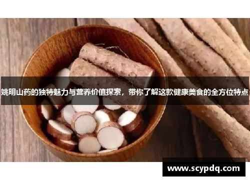 姚明山药的独特魅力与营养价值探索，带你了解这款健康美食的全方位特点