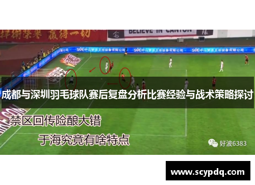 成都与深圳羽毛球队赛后复盘分析比赛经验与战术策略探讨