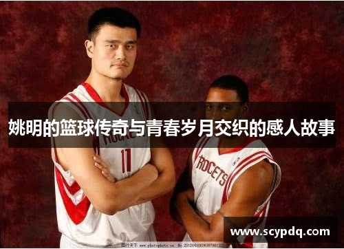 姚明的篮球传奇与青春岁月交织的感人故事